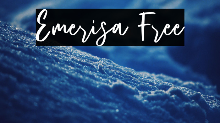 Emerisa Free Example 3