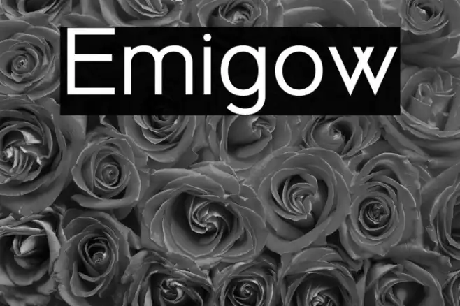 Emigow Example 1