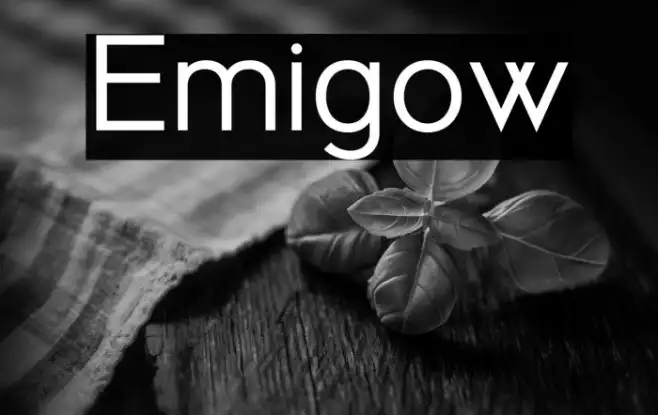 Emigow Example 2