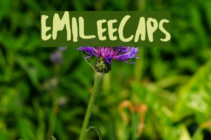 EmileeCaps Font examples