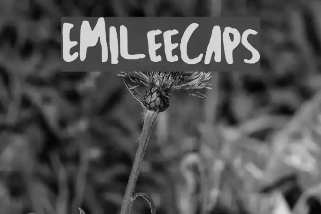 EmileeCaps Example 1