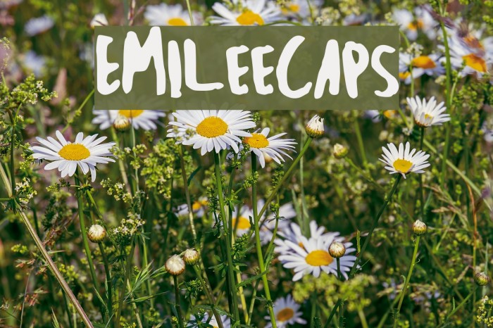 EmileeCaps Font examples