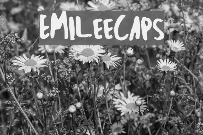 EmileeCaps Example 2
