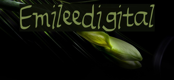 Emileedigital Font examples