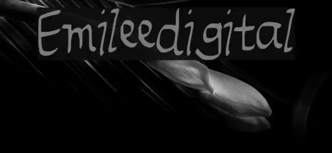 Emileedigital Example 1