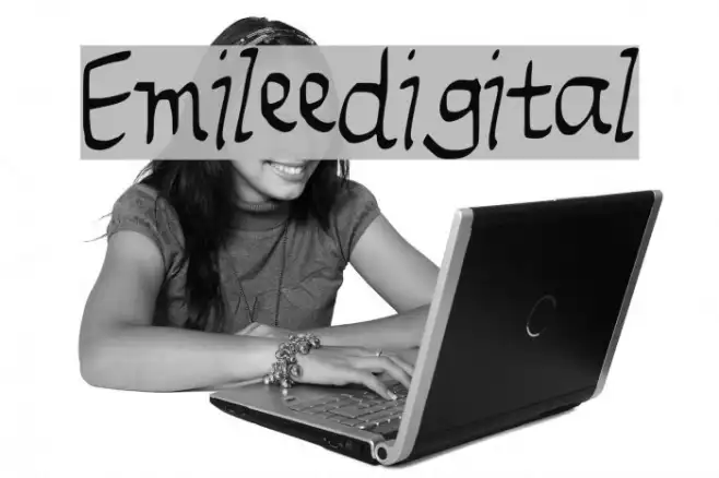 Emileedigital Example 2