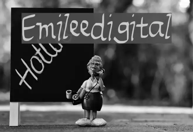 Emileedigital Example 3