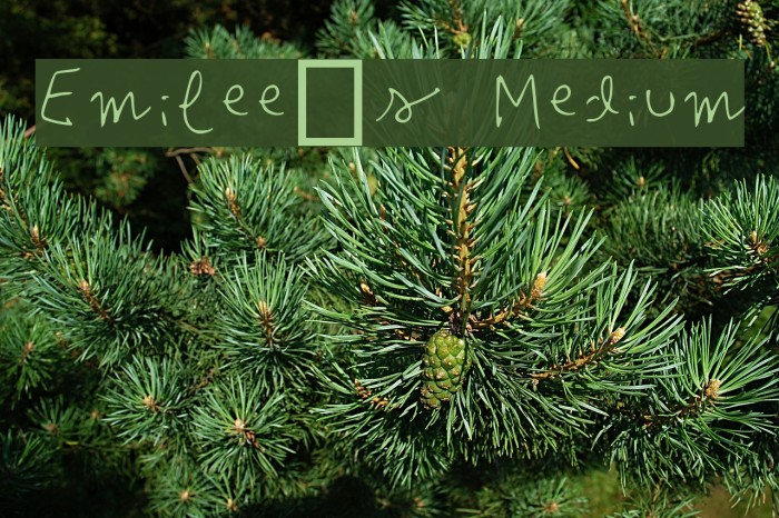 Emilee's Medium Font examples