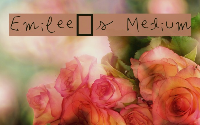 Emilee's Medium Font examples