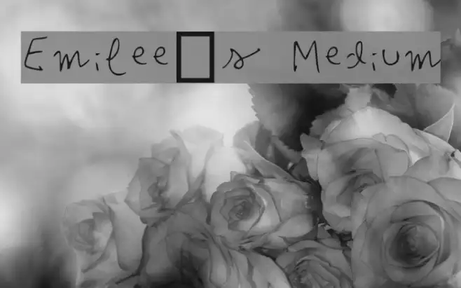 Emilee's Medium Example 2