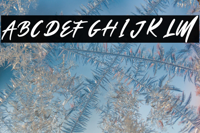 Emilia-Regular Example 2