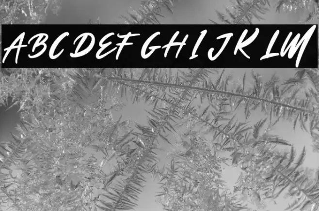 Emilia-Regular Font examples