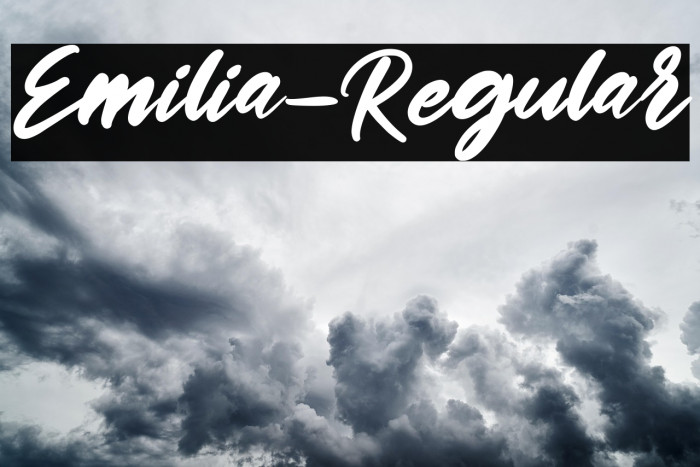 Emilia-Regular Example 2