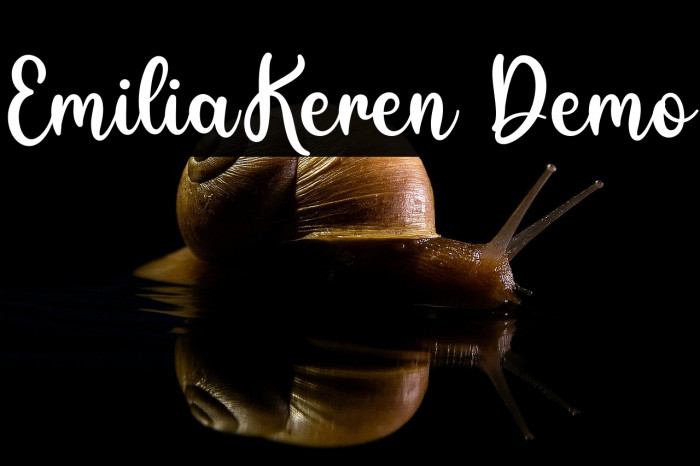 EmiliaKeren Demo Example 2