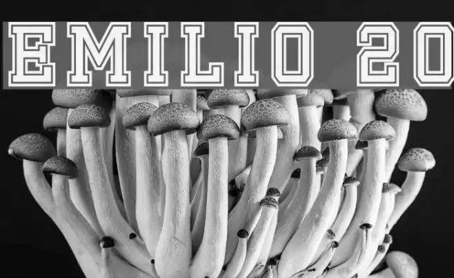 Emilio 20 Font examples
