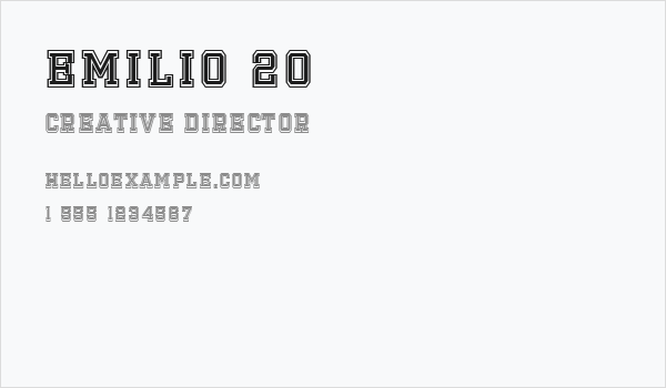 Emilio 20 Business Card