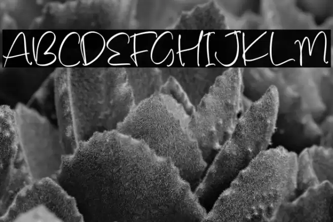 Emillea Mooneta  examples