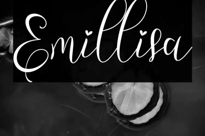 Emillisa Example 1