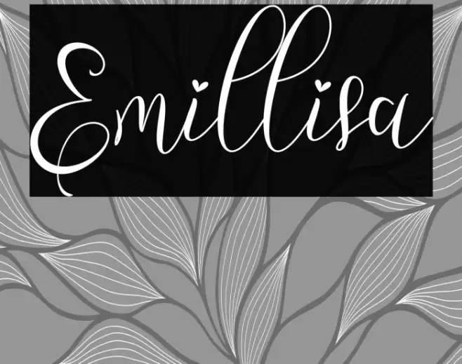 Emillisa Example 2