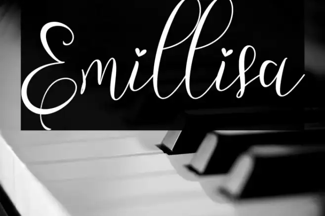 Emillisa Example 3