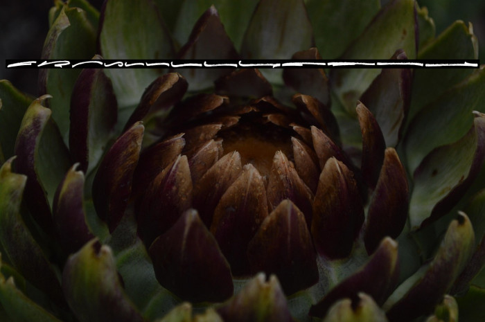 Emilly Stories Swash Example 2