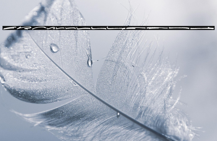 Emilly Stories Swash Example 3