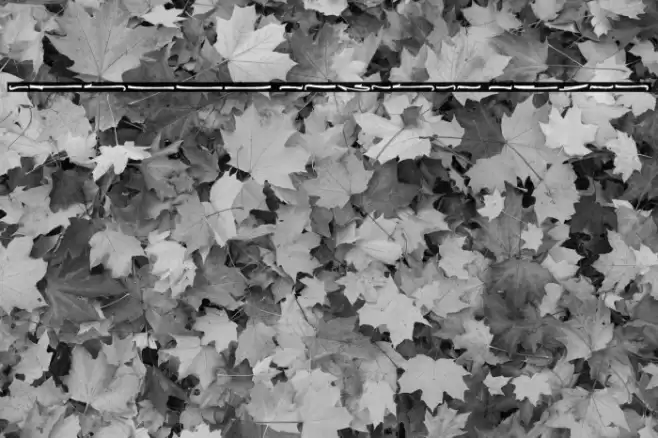 Emilly Stories Swash Font examples