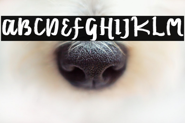 Emilly Stories Example 1