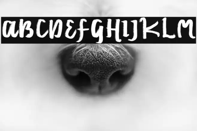 Emilly Stories Font examples