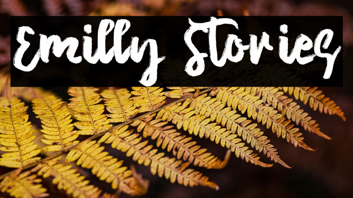 Emilly Stories Example 2