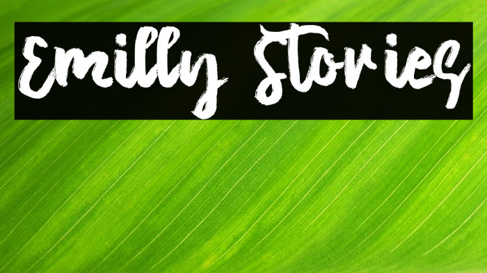 Emilly Stories Example 3