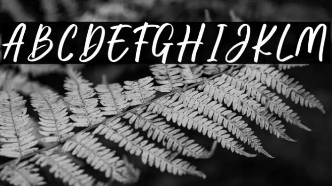 Emily Berlinda फ़ॉन्ट examples