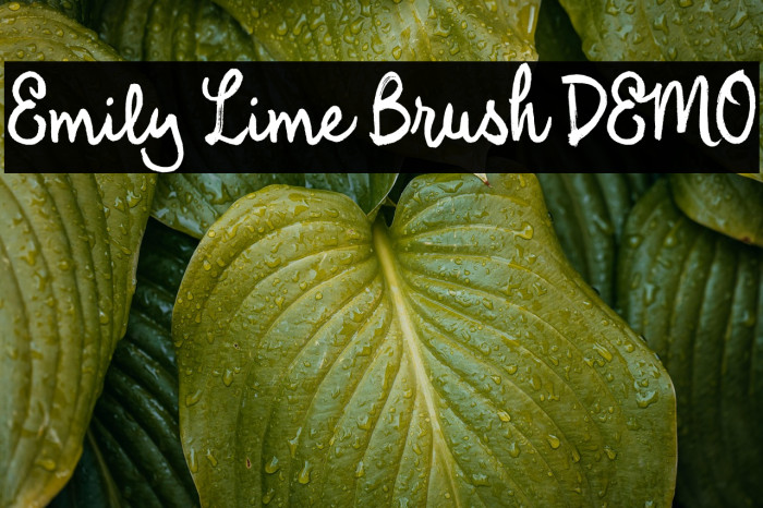 Emily Lime Brush DEMO Example 3