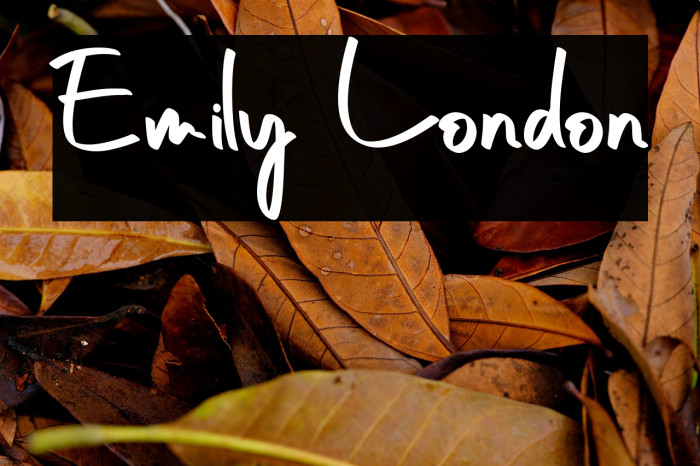 Emily London Example 3