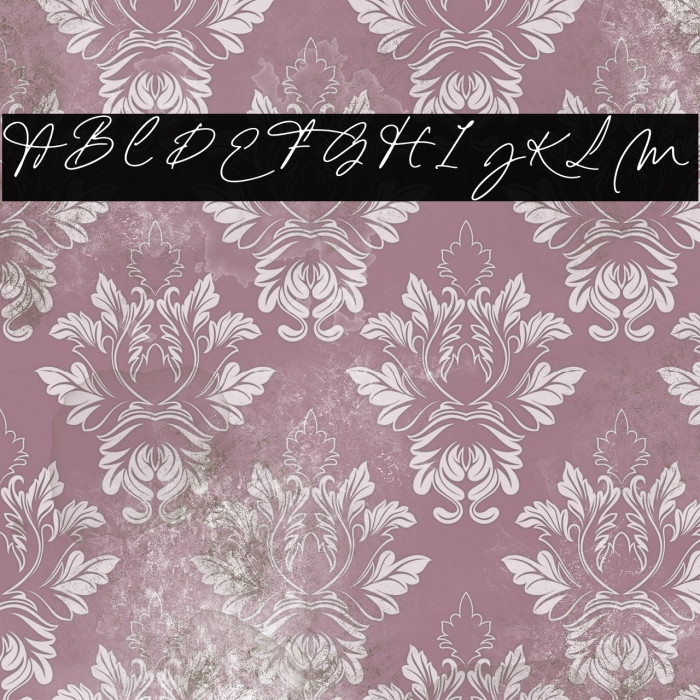 Emily Yorke Example 3