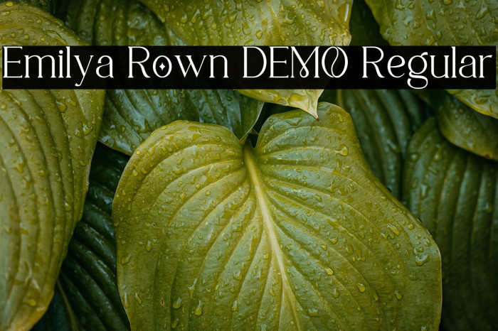 Emilya Rown DEMO Regular Example 1