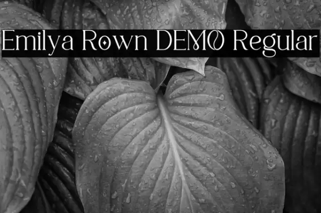 Emilya Rown DEMO Regular Fonte examples