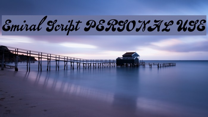 Emiral Script PERSONAL USE Font examples