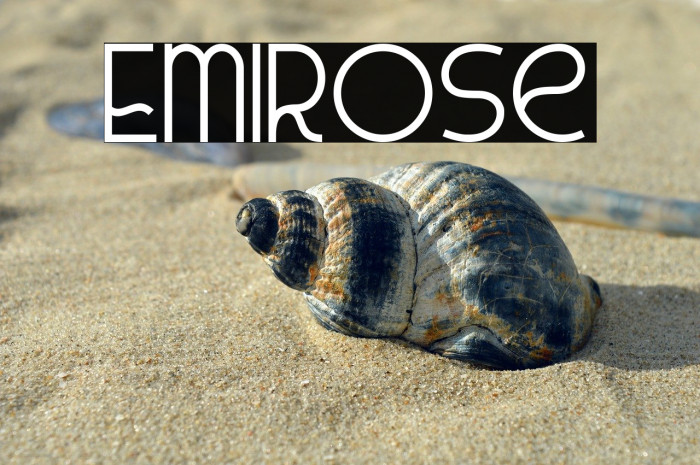 Emirose Example 1