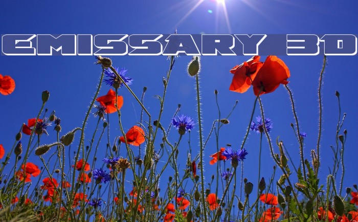 Emissary 3D Font examples