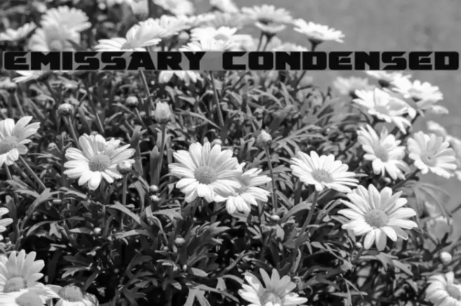 Emissary Condensed Font examples