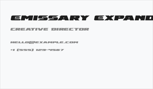 Emissary Expanded Italic Business Card