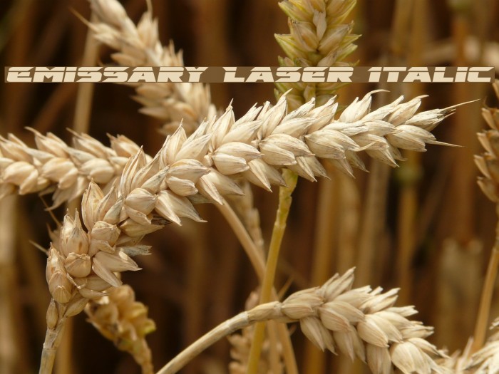 Emissary Laser Italic Font examples