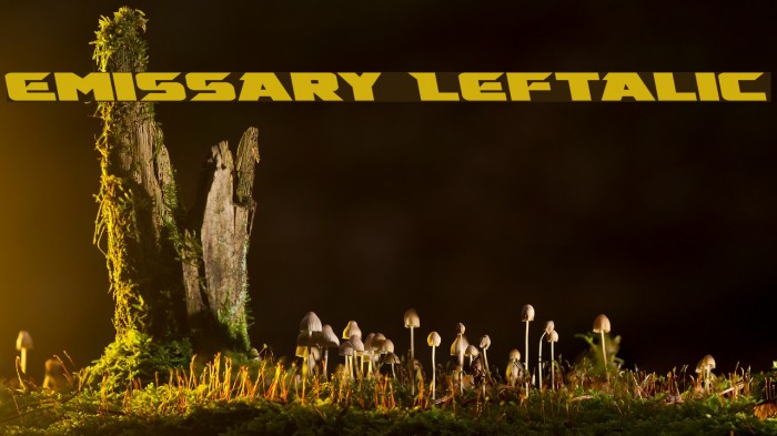 Emissary Leftalic Font examples