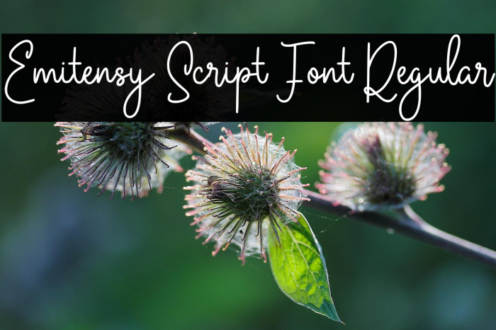 Emitensy Script Font Regular Example 1