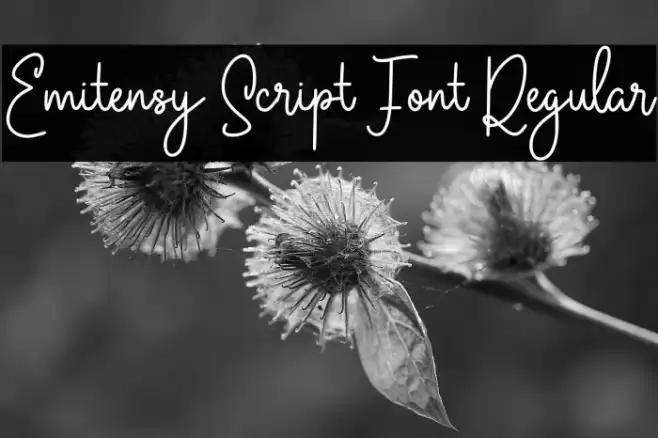 Emitensy Script Font Regular Example 1