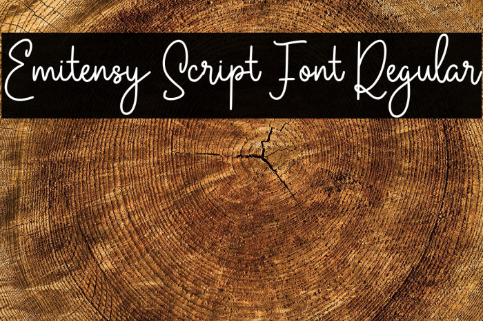 Emitensy Script Font Regular Example 2