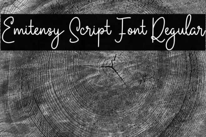 Emitensy Script Font Regular Example 2