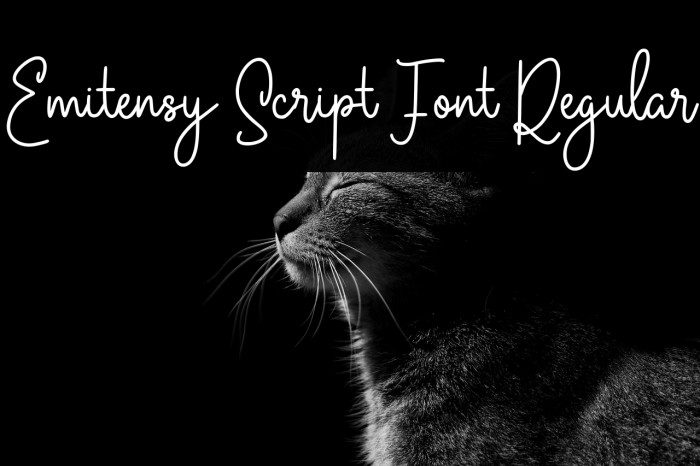 Emitensy Script Font Regular Example 3