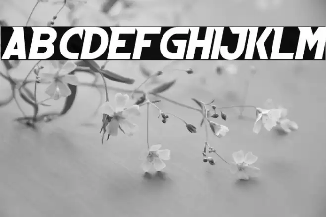 Emizen Font examples